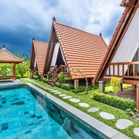 Lumbung Sari Villa Ubud By Dewanta Property